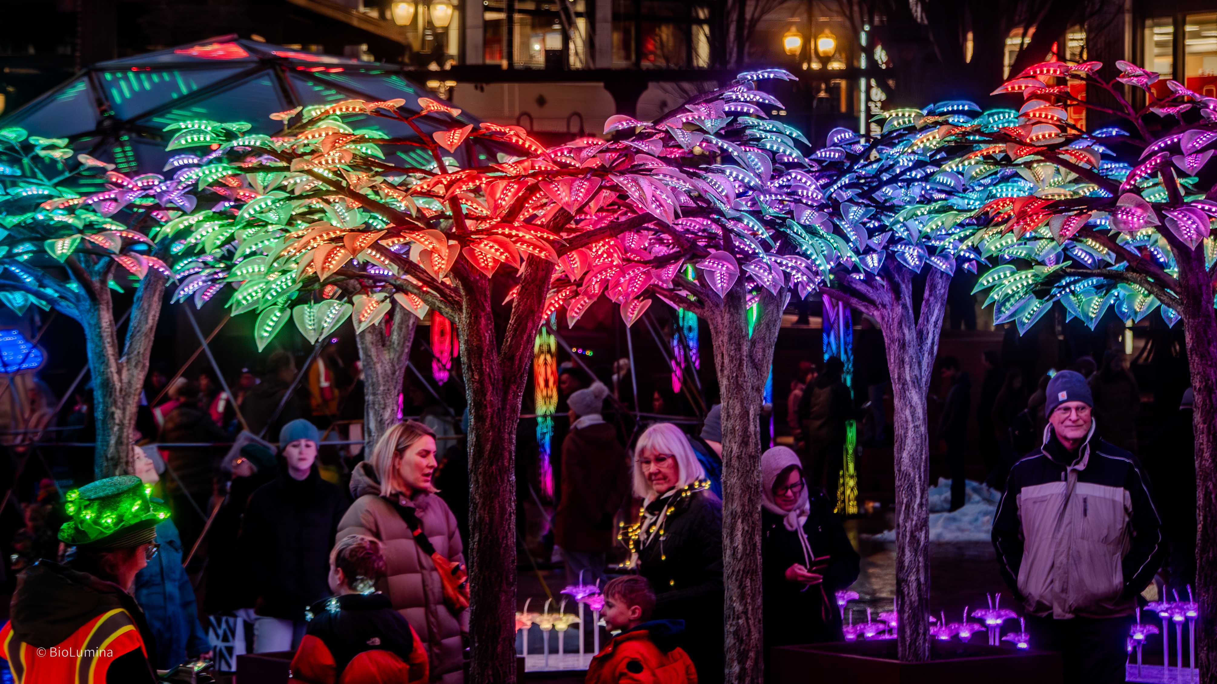 Electric Grove at Portland Winter Lights Festival