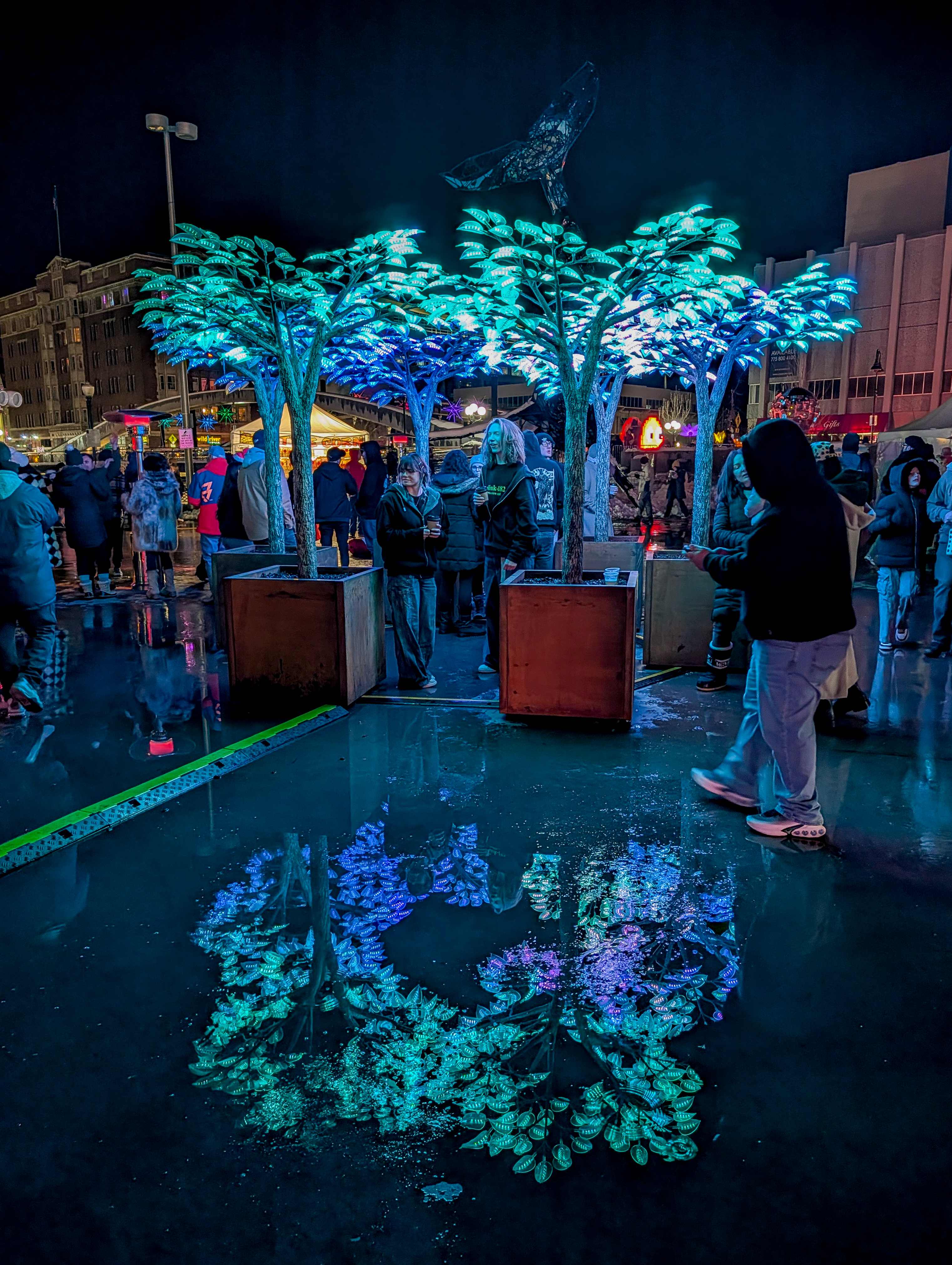 Electric Grove at Western Lights Festival